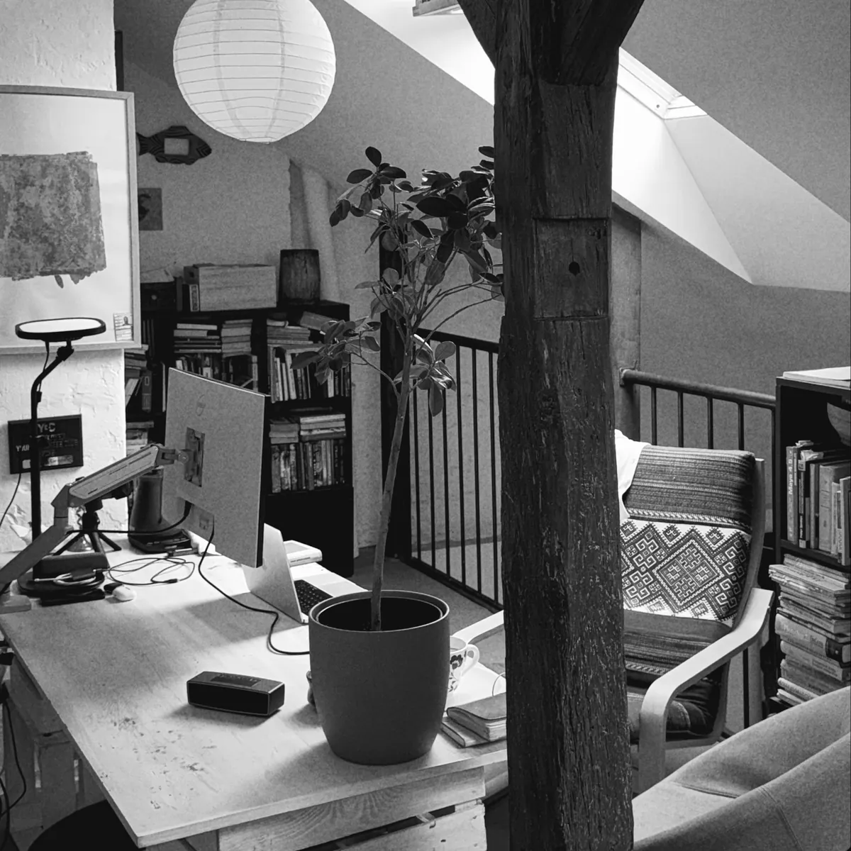 The same attic through the Black & White camera